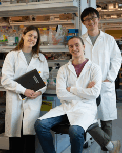 Co-lead authors Julia Bonzanini, Nathan Greenwood, Bingxu Liu, PhD (left to right) [Ian Haydon]