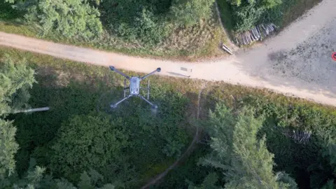 Tony Jolliffe/BBC A grey drone with four outstretched arms in a diamond formation hovers over a spruce forest. A walking path cuts through the centre of the forest, and splits to the right, at the corner of the junction sit some logs.