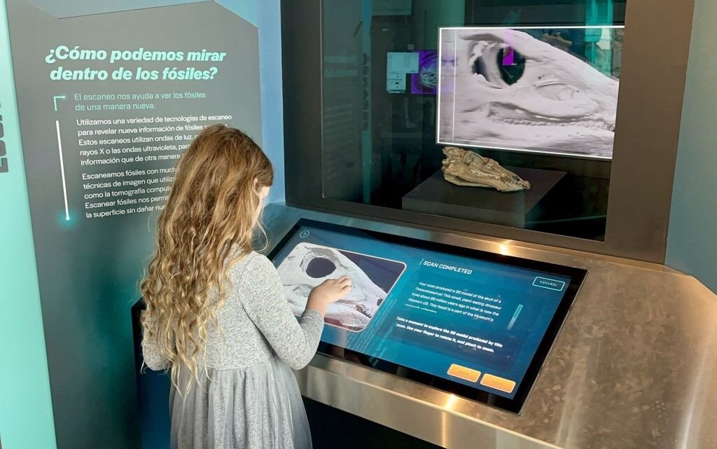 Ideum creates 3D displays for Dueling Dinosaurs CT Scanning Interactive