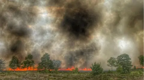 HIWFRS Orange flames burning behind trees on a MoD training range is sending large amounts of grey-black smoke high into the sky