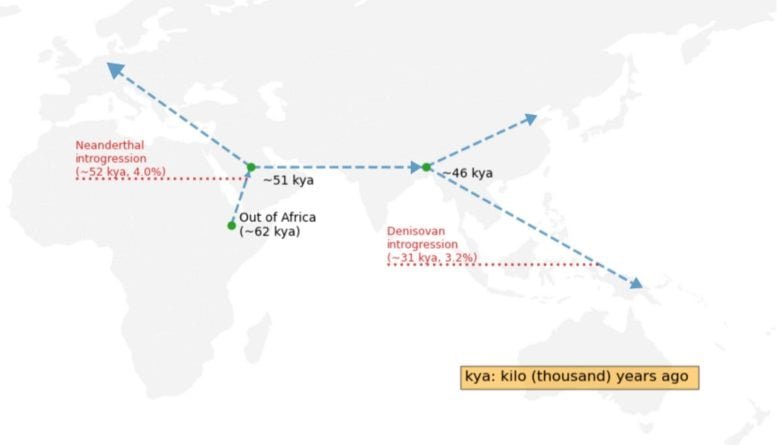Migration Routes and Introgression of Early Humans